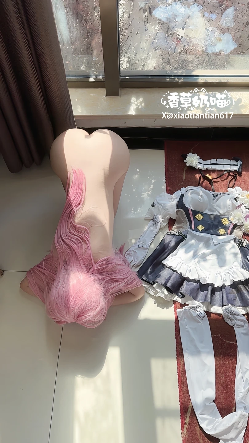91tutu.cc@香草奶喵 - No.006 爱莉希雅女仆-019.webp